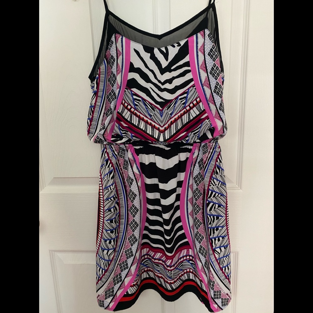 Express Zebra Print Dress
